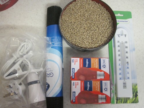 Kit covata pollo quaglie