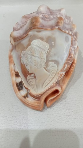 Conchiglia intagliata antica - intagliata,