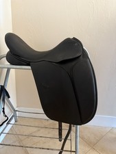 County Perfection Dressage