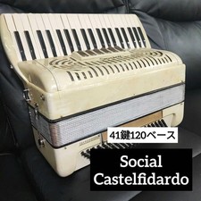 Fisarmonica 41 tasti 120 bassi