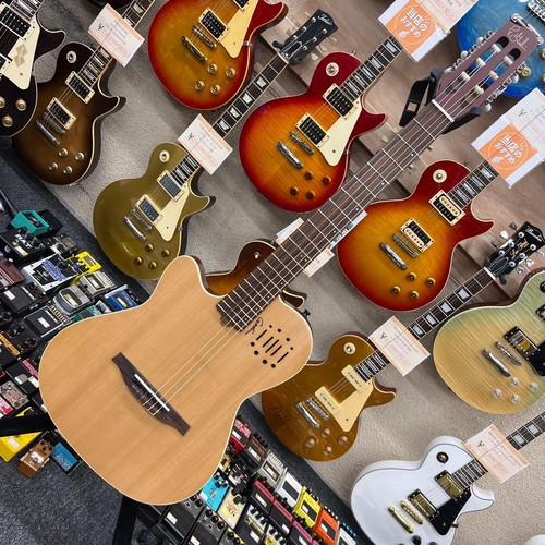 Chitarra elettrica acustica