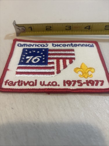 Cub boy scout - boy, bsa