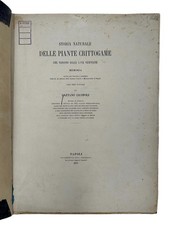 LICOPOLI - PIANTE CRITTOGAME