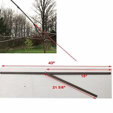 Capitolo 13' x 13' Pagoda