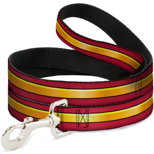 Dog leash feet the flash - dog,