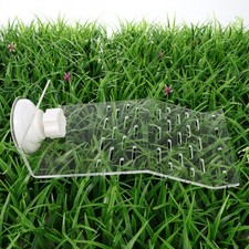  Vaschetta Tartarughe D'acqua