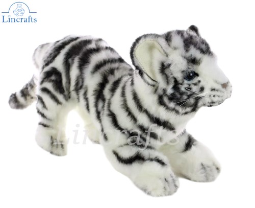 Hansa prowling white tiger cub - hansa,
