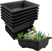 6 Pezzi Vaso Bonsai Rettangolo