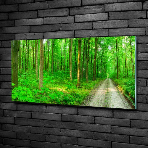 Quadro tulup stampa vetro - quadro,