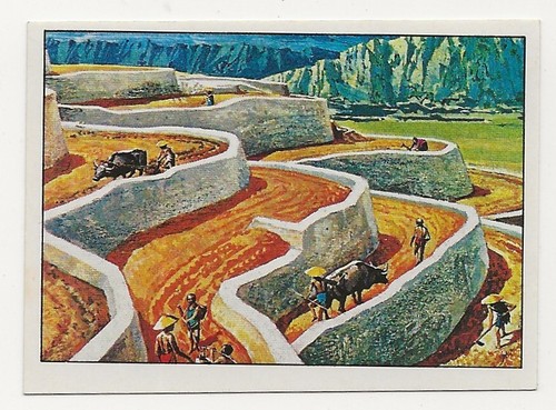 Figurina panini serie le - figurina, "le