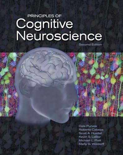 Principles cognitive - principles, of