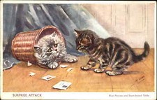 M. Gear Kittens Cats Blue