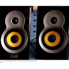 COPPIA DI CASSE AMPLIFICATE