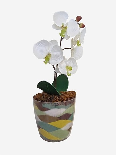 Vaso plastica trasparente - in,