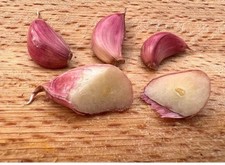 Aglio Rosso Di Sulmona