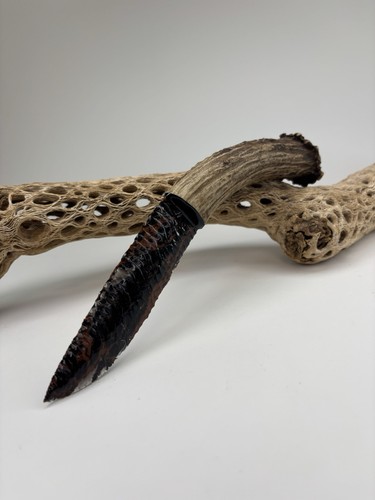 Splendido coltello scaglie - coltello, a