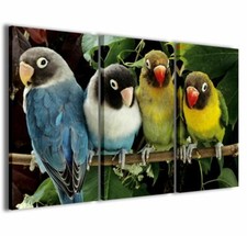 Quadro Moderno 100 x 60 cm Stampa su Tela Canvas 3 pz Agapornis