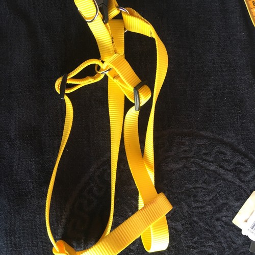 Pettorina cane taglia - cane,