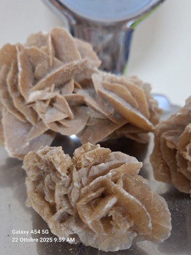 Rosa del deserto - rosa,