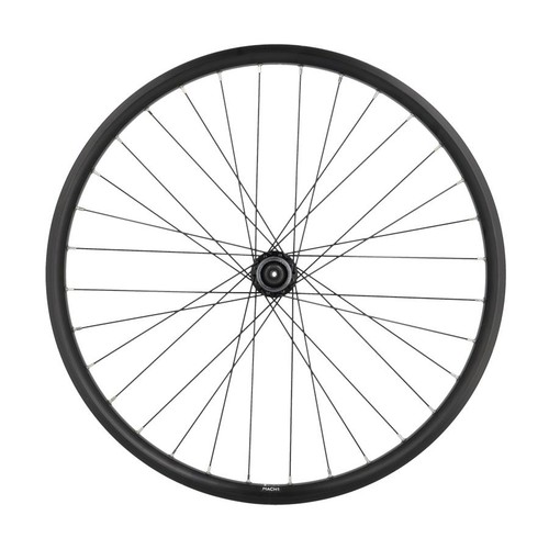 Ruota bicicletta