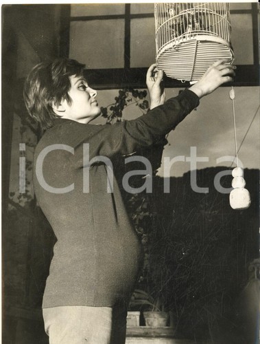 1960 roma pittrice - 1960,