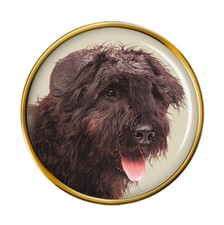 Bovaro Delle Fiandre Cane