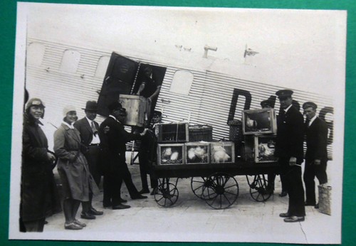 Antica foto originale epoca - foto, d'epoca