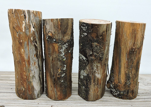 Pezzi tronco legno di - di,