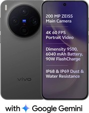 vivo X300 (Elite Black, 256