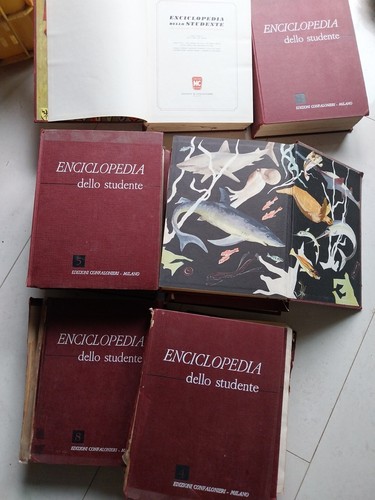 Enclipodedia dello studente - enclipodedia,
