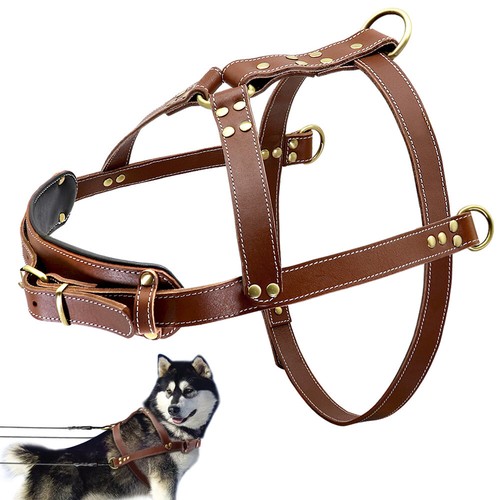 Imbracatura per cani - in, vera