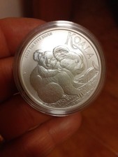 1 ONCIA OZ 2023 KOALA