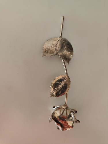 Rosa brandimarte - rosa,