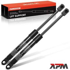 2x Gas Ammortizzatore Cofano