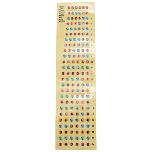 Chitarra fretboard nota - fretboard,
