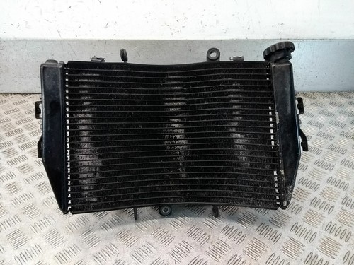 Radiatore triumph speed triple - radiatore,