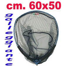 Testa Per Guadino Testata