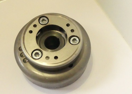 Ruota polare alternatore