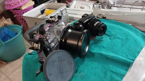Olympus e330 nera custodia - +,