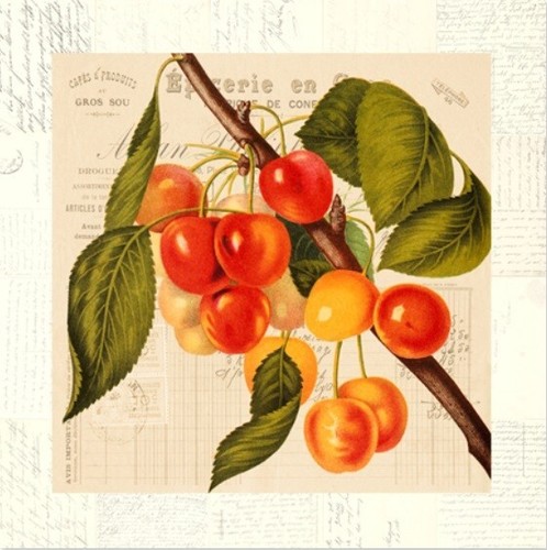 Quadro frutta ciliegie - ciliegie, stampa