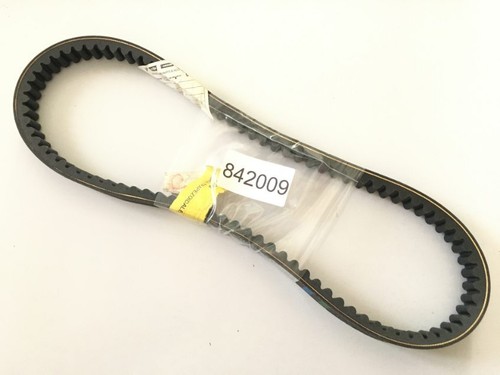 842009 cinghia trapezoidale - 842009,