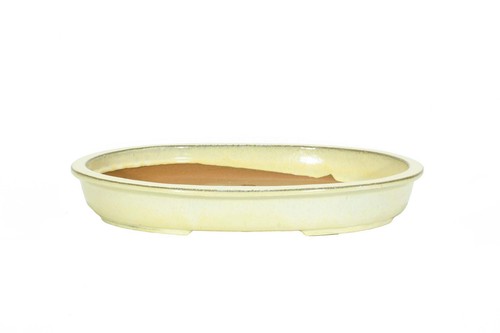 Vaso bonsai smaltato ovale