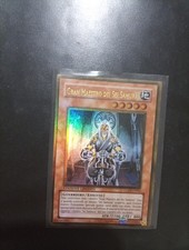 Gran Maestro dei Sei Samurai