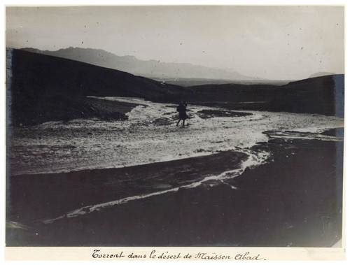 Persia torrent dans desert - persia,,