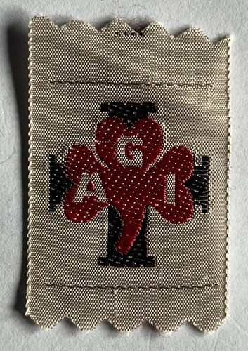 Scout guide agi promessa - scout,