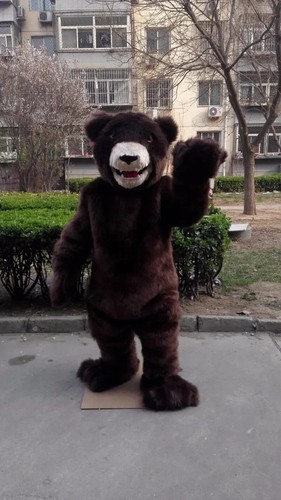 Costume mascotte orso - costume,