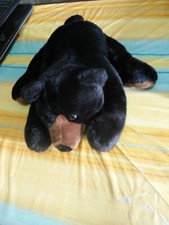 Peluche di Orso Bruno disteso