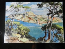 20175) ISOLE TREMITI ISOLA SAN