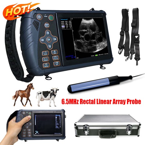 Scanner ultrasuoni veterinario