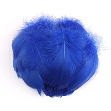 Duories 100 Piume Colorate per